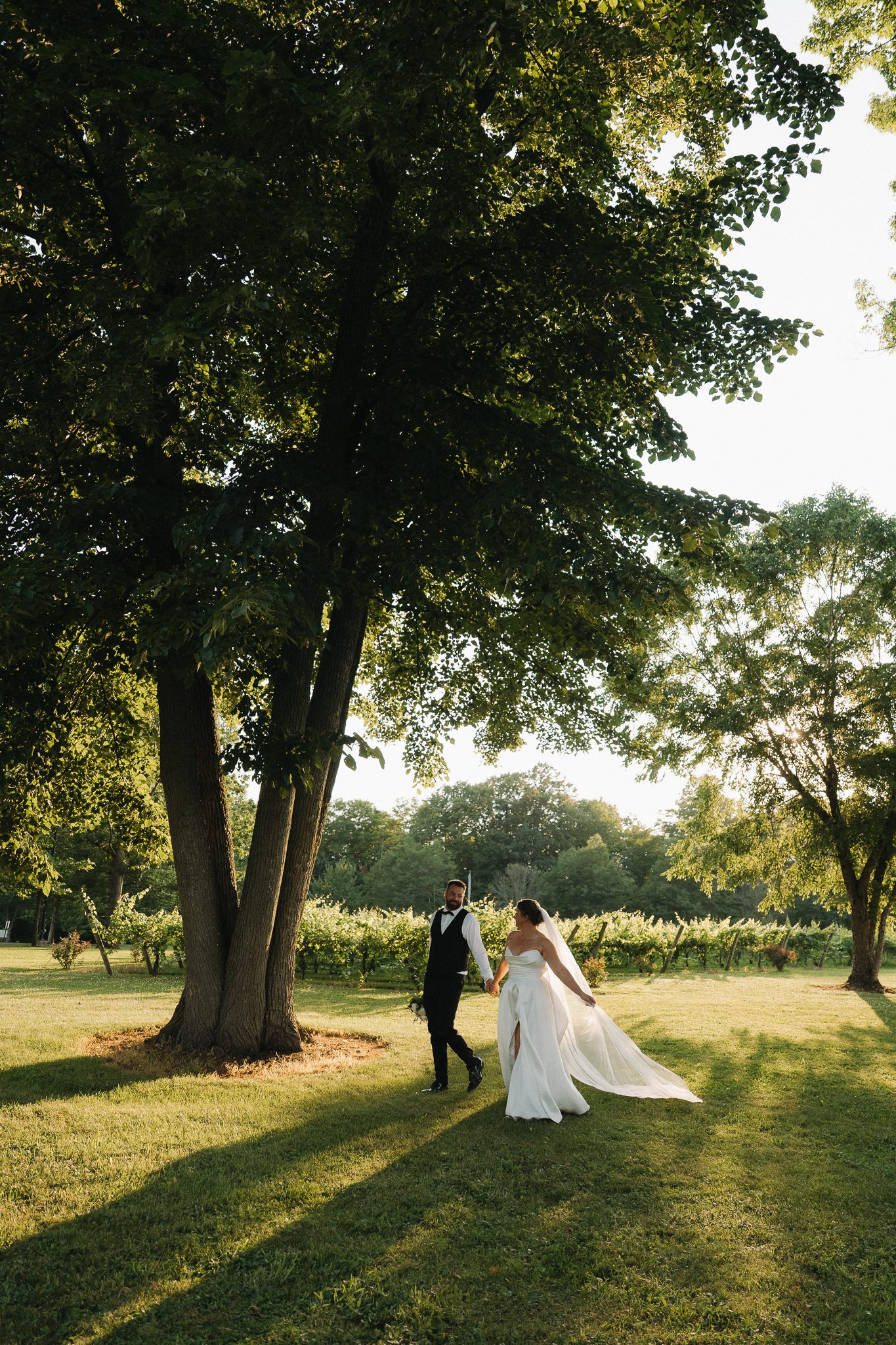 Bride and groom share a kiss under a floral arch at Colloca Estate Winery, surrounded by vineyards and golden evening light.